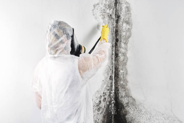 Best Mold removal after water damage  in Omak, WA