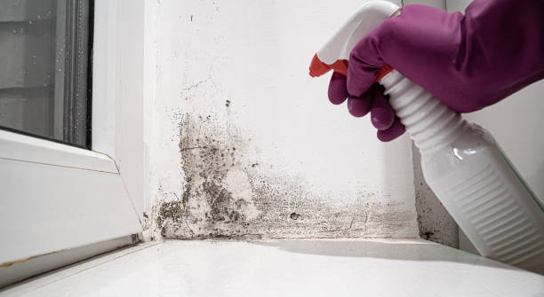 Best Water damage restoration specialists  in Omak, WA